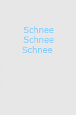 Sammlung des Loose Art Verlag / SchneeSchneeSchnee