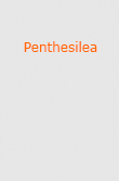 Sammlung Art Loose Verlag / Penthesilea