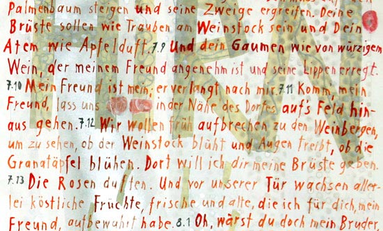 Der Mais in meiner Hand, Seite 41