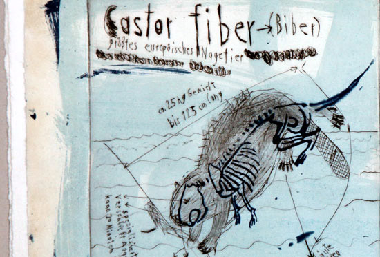 liber Biber, Seite 21